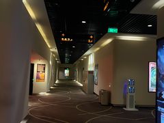 -嘉华国际影城(学清路店)