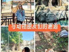 -灵玲国际马戏城
