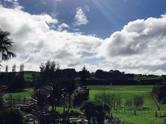 -怀托摩萤火虫洞