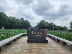 -蠡湖中央公园