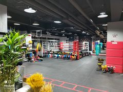 -TFC 纯泰拳馆MuayThai