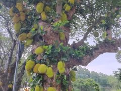 -东莞松山湖凯悦酒店