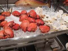 -常州富力喜来登酒店 Feast盛宴标帜西餐厅(新北万达广场店)