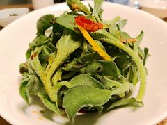 -同庆楼(金宝汇店)