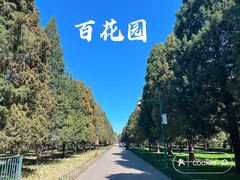 -天坛公园