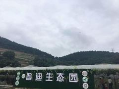 -普迪生态园