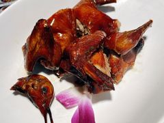 金牌乳鸽-吉旺港式餐厅(南方商城店)