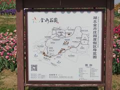 -金卉庄园