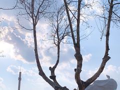 -海埂大坝