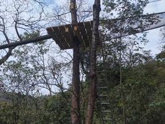 -芦仙山景区-飞越丛林探险乐园