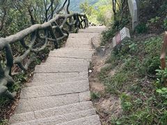 -梧桐山风景名胜区