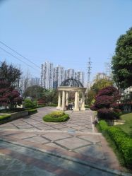 -重庆安琪儿妇产医院-妇幼保健联盟医院