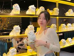 -黄晓猫剁椒大鱼头(海岸城店)