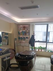 -碧莲盛·不剃发植发