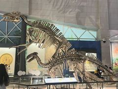 -湖南省地质博物馆