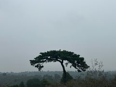 -清西陵