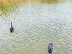 -厦门国家会计学院