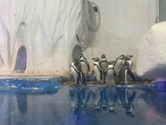 -太平洋海底世界