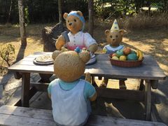 -济州岛泰迪熊博物馆