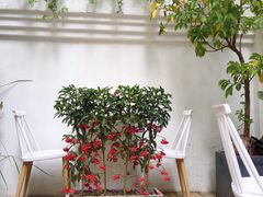 -拾壹cafe·工作室