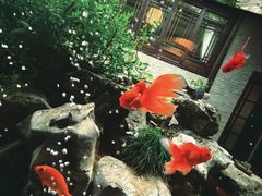 -乾园.魏庐湖景餐厅(花港店)