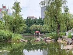 -新虹桥中心花园