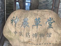 -广州神农草堂中医药博物馆