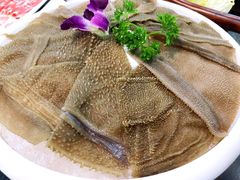 -重庆圣渝老火锅(掌起镇横街店)