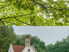 -上海共青森林公园