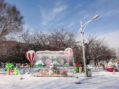 -沈阳奥体冰雪嘉年华