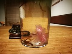 樱花抹茶-柴务处·柴犬主题狗咖