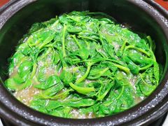 -菌之家·专业纯野生菌火锅·特色炒菌