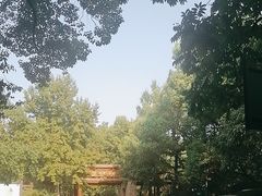 -杭州植物园