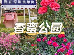 -香蜜公园
