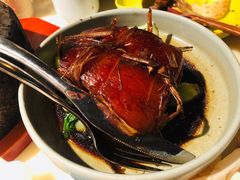 东坡草扎-桂满陇-十里风荷(合生汇店)