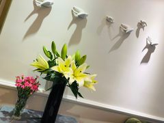 -燕庭·纯燕窝·甜品下午茶(日月光店)