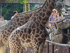 -金银湖市民文体活动中心恒温游泳馆