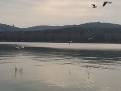 -水上明月·湖景餐厅