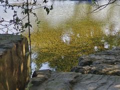 -三垟湿地