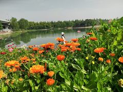 -升仙湖公园