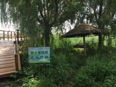 -白渔泡湿地公园