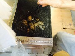 -叶氏麻糍(鼓浪屿店)