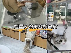 -爱洗澡的猫(天河路店)