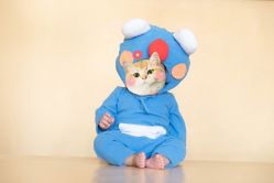 -DeerFriend童趣主题上门拍·到家·外拍摄影机构 (国贸店)
