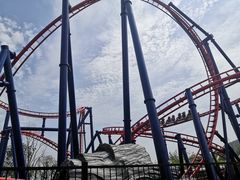 -苏州乐园森林水世界