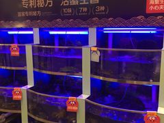 水产区-七欣天(浦东羽山乐坊店)
