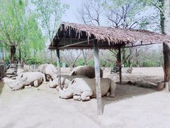 -西安秦岭野生动物园