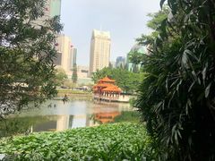 -荔枝公园(福田区)