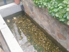 -外婆船宴餐厅·外婆喊你回家吃饭