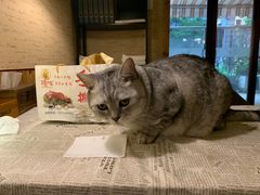 -隅cafe(傅厚岗店)